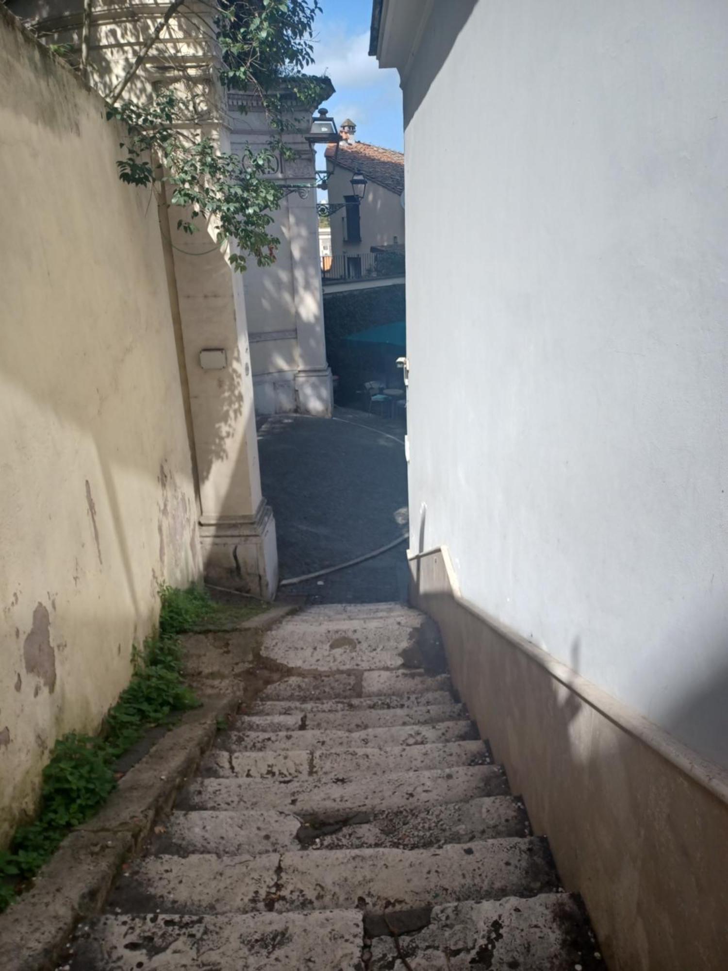 Apartamento Ripense *